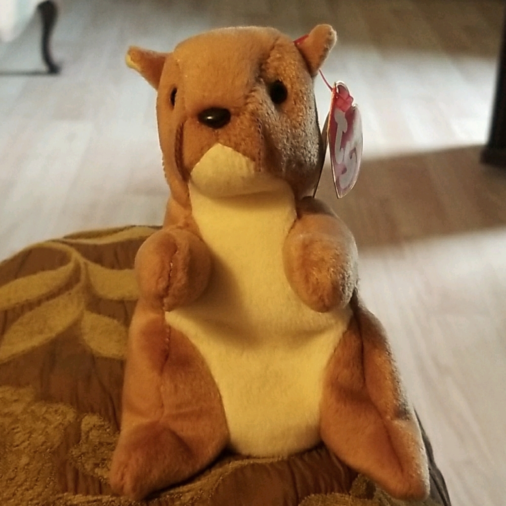 Beanie Baby Nuts Rare Find